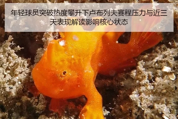 年轻球员突破热度攀升下卢布列夫赛程压力与近三天表现解读影响核心状态